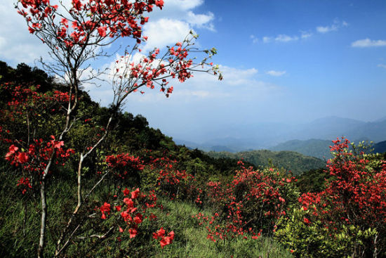 再见江河第12集远方的家闽南秀水 海上花园,影视