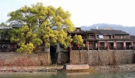 丽水莲都泡茶等花开民宿：莲都区大港头村古街民宿-泡茶等花开民宿,影视