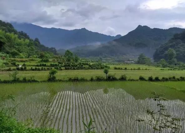 半乡居-婺源半乡居民宿：上饶婺源沱川乡篁村 半乡居民宿,影视