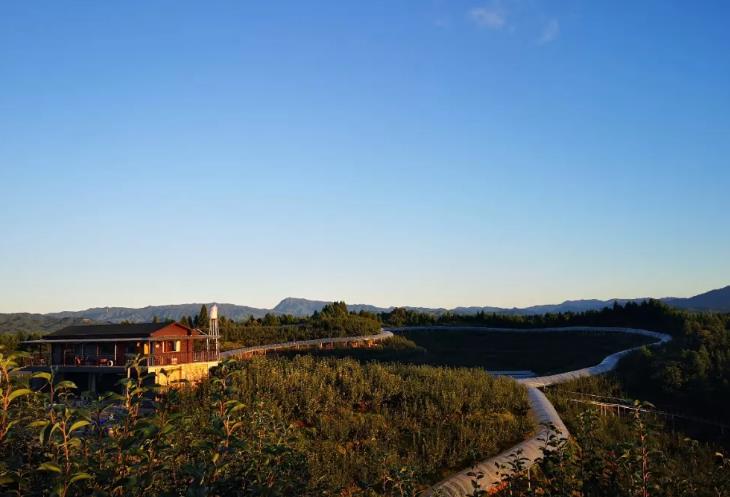 建宁民宿春花家庭农场：三明建宁县溪口镇高圳村民宿春花家庭农场,影视