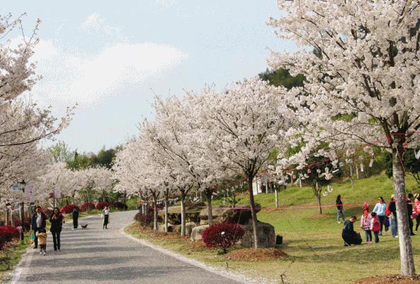 慈城民宿绿野山居：宁波江北区慈城镇绿野山居民宿,影视