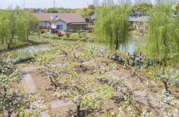 常熟民宿蒋巷书院民宿：苏州常熟市蒋巷书院民宿,影视