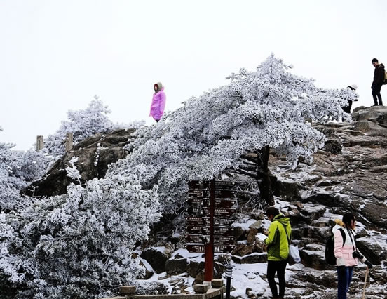 冬游黄山 大雪初降 雾淞满山的冬日黄山景色,影视