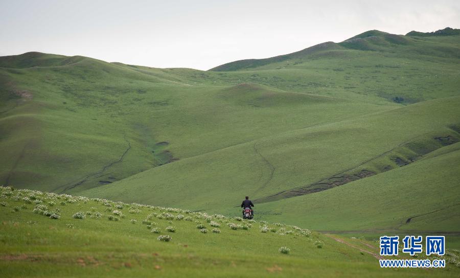 （社会）（1）阿鲁科尔沁游牧民：传统方式下的新生活