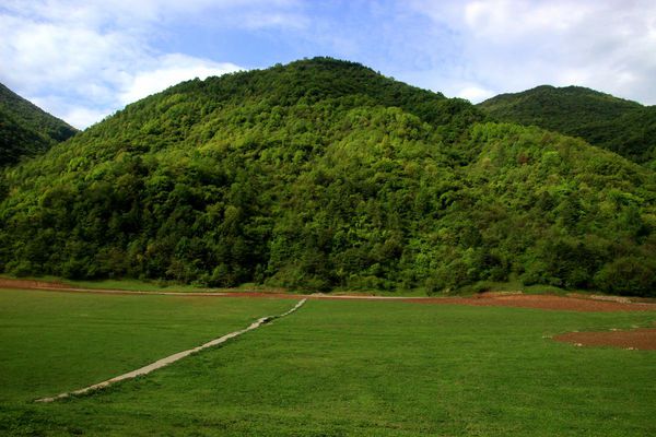 不在最美的季节，遇见巫溪红池坝【深氧界的夏,影视