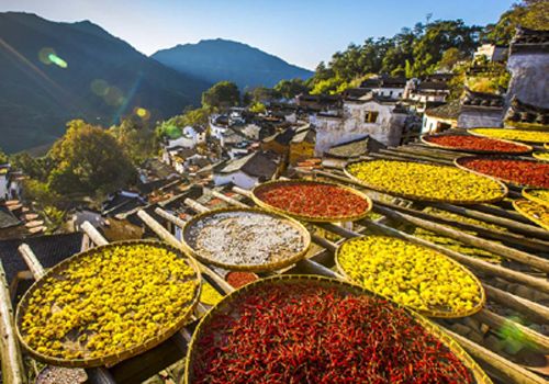 “篁岭晒秋”成江西婺源旅游新招牌,影视