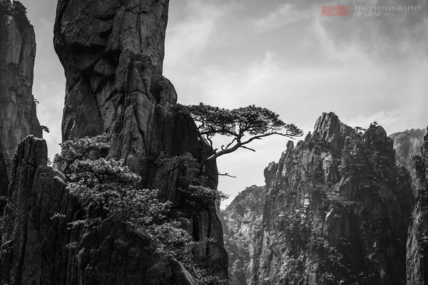 黄山西海大峡谷：险奇峻秀的西海大峡谷,影视