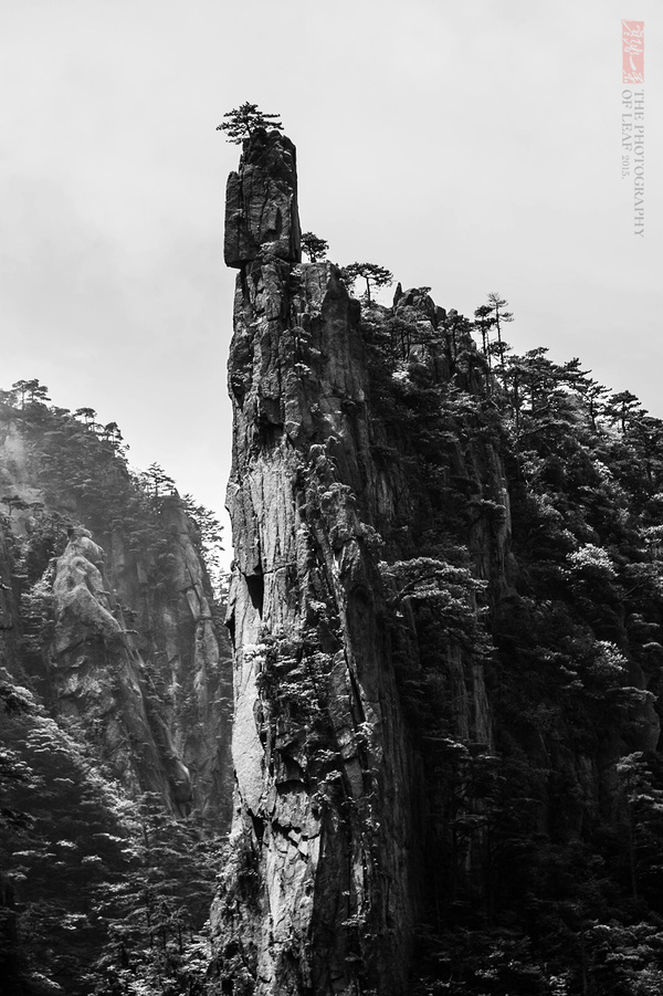 黄山西海大峡谷：险奇峻秀的西海大峡谷,影视