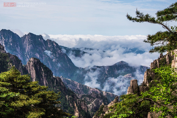 黄山西海大峡谷：险奇峻秀的西海大峡谷,影视