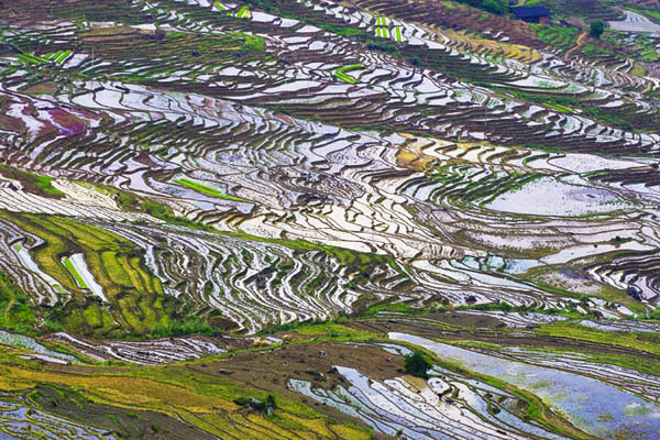 九月最美旅游地在哪里？,影视