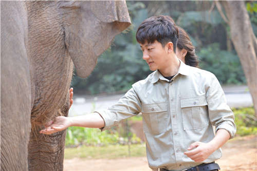 奇妙的朋友黄轩遭大象猛踹伤情不轻,影视