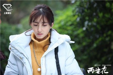 两生花第36集剧情介绍颜宋狠扇欧阳藤 颜朗陷危